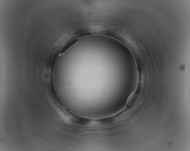 X0000091570413200708201150