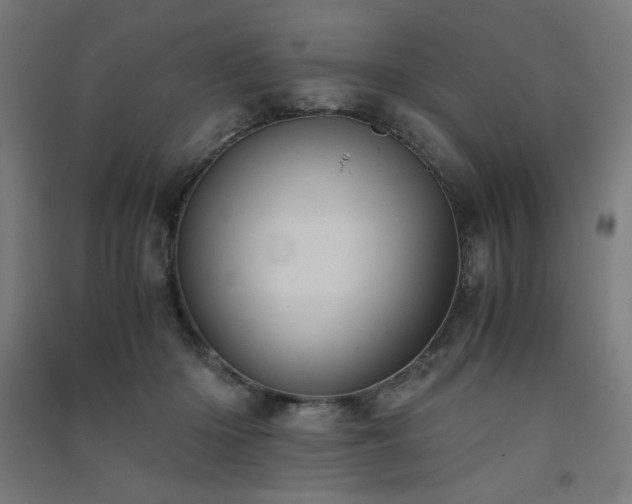 X0000091570414200708201150
