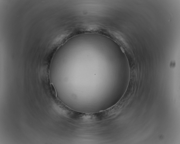 X0000091570415200708201150