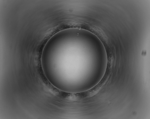 X0000091570416200708201150
