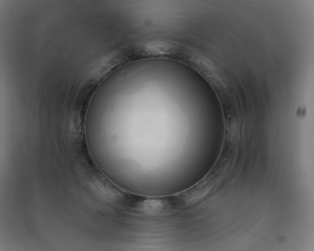 X0000091570418200708201150
