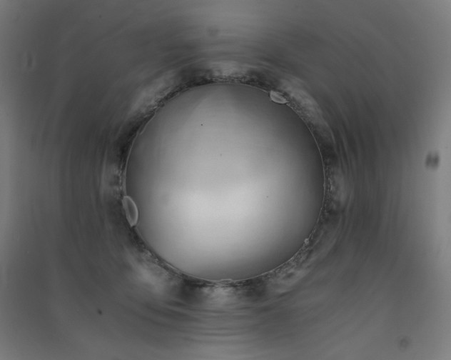 X0000091570419200708201150