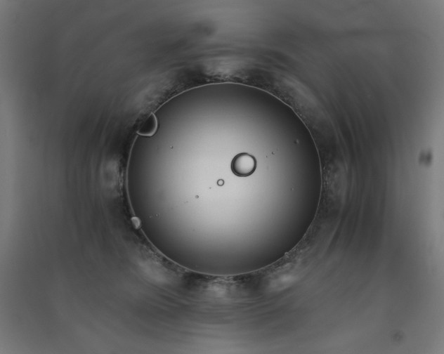 X0000091570420200708201150