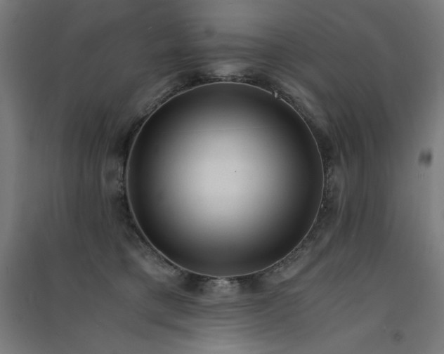 X0000091570421200708201150