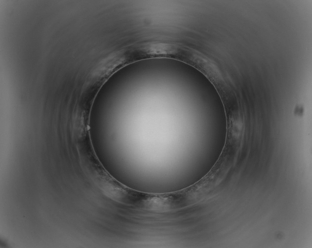 X0000091570422200708201150