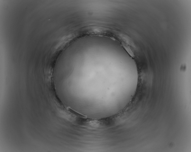 X0000091570423200708201150
