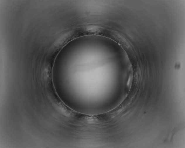 X0000091570424200708201150