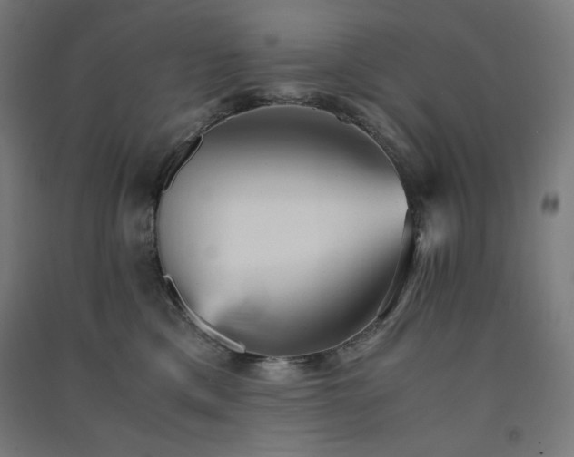 X0000091570425200708201149