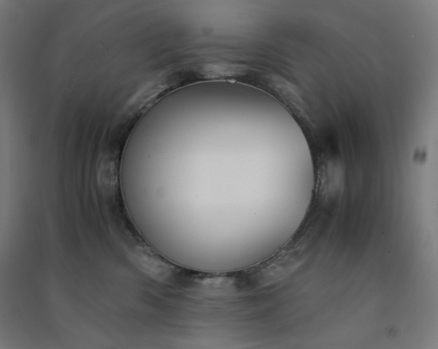 X0000091570426200708201149