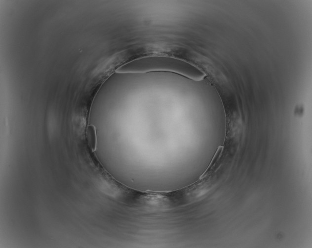 X0000091570427200708201149
