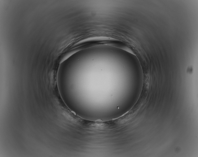 X0000091570428200708201149