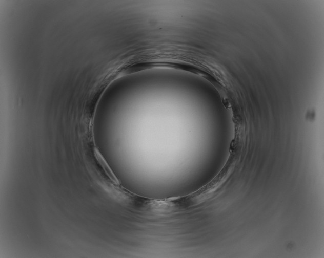 X0000091570429200708201149