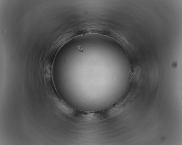 X0000091570430200708201149