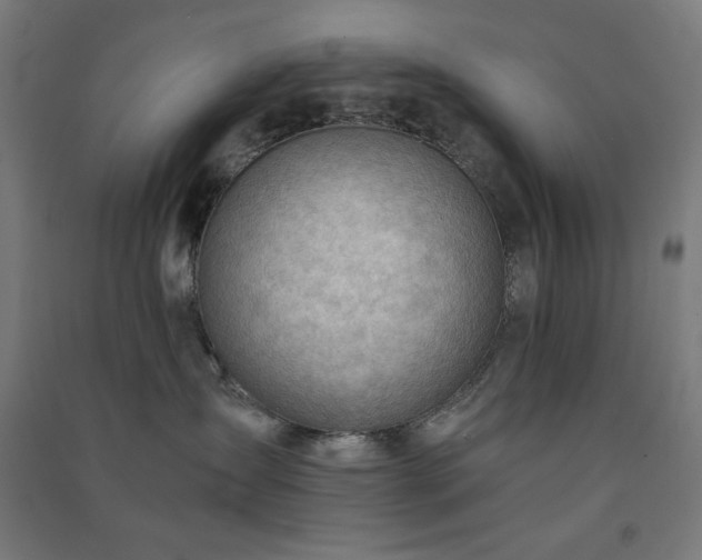 X0000091570431200708201149