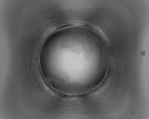 X0000091570433200708201149