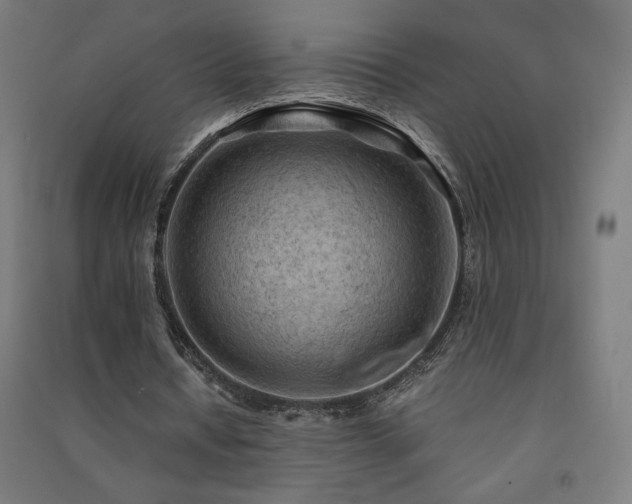 X0000091570434200708201149