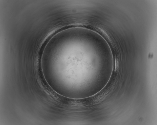 X0000091570435200708201149