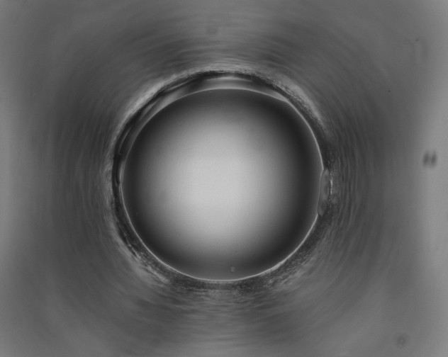 X0000091570436200708201149