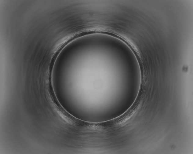 X0000091570437200708201149