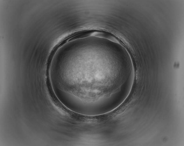 X0000091570438200708201149