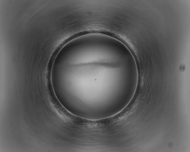 X0000091570439200708201149