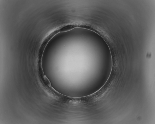 X0000091570440200708201149