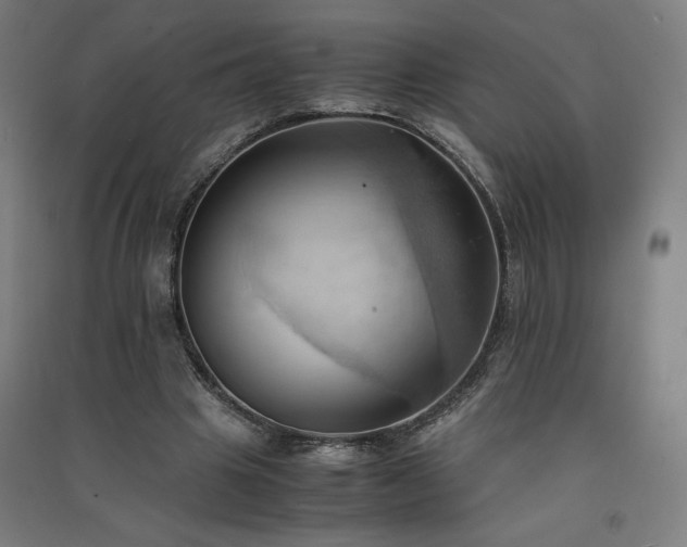 X0000091570441200708201149