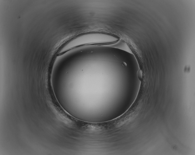 X0000091570442200708201149