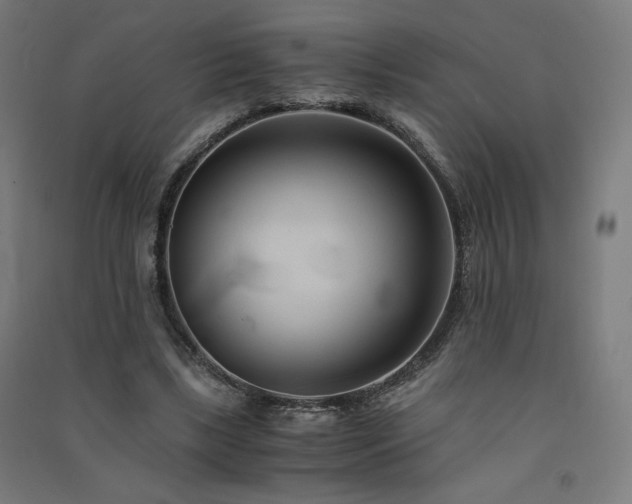 X0000091570443200708201149