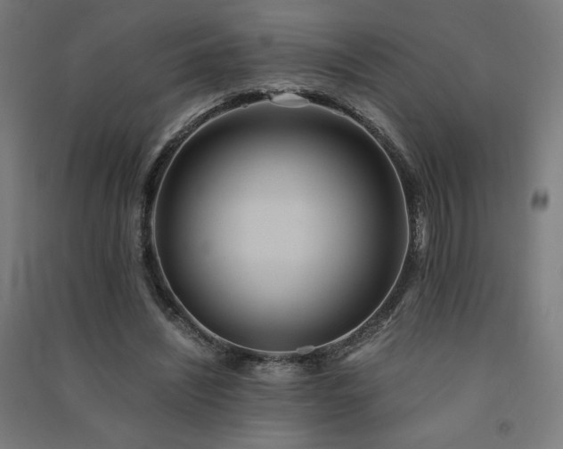 X0000091570444200708201149