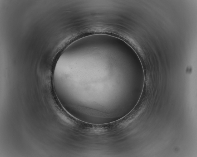 X0000091570445200708201149