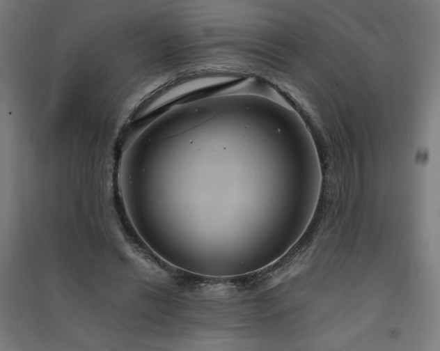 X0000091570446200708201149