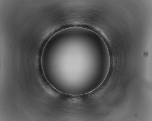 X0000091570447200708201149