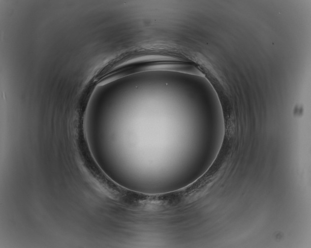 X0000091570448200708201149