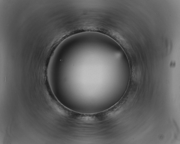 X0000091570449200708201149