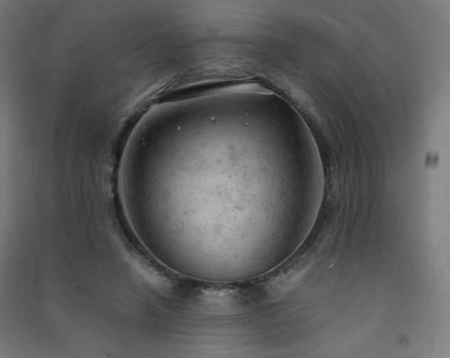 X0000091570450200708201149
