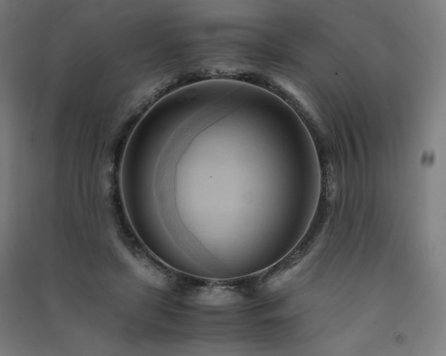 X0000091570451200708201149