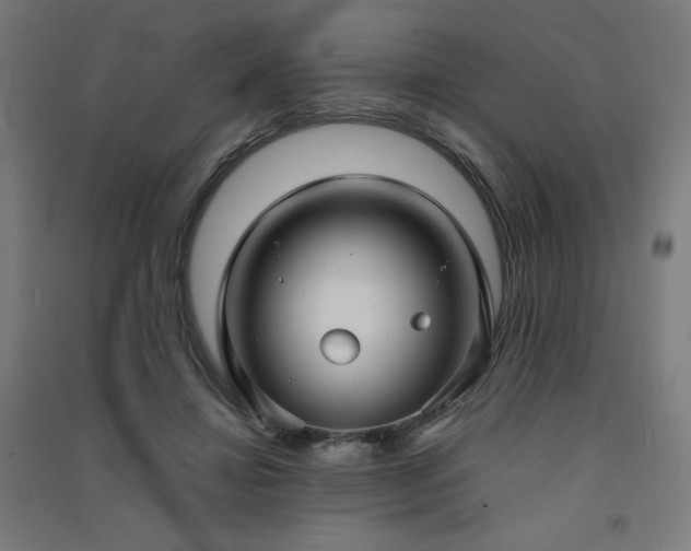 X0000091570452200708201149