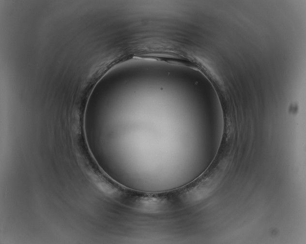 X0000091570453200708201149