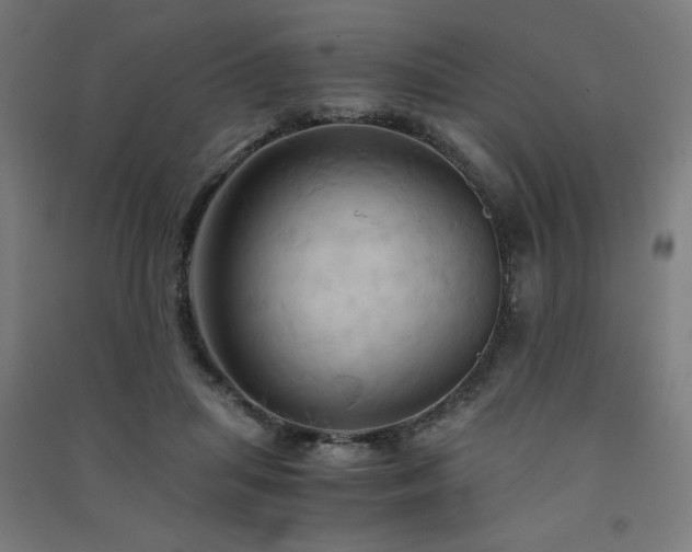 X0000091570455200708201149
