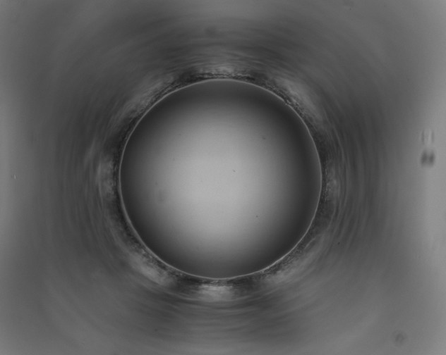 X0000091570457200708201149