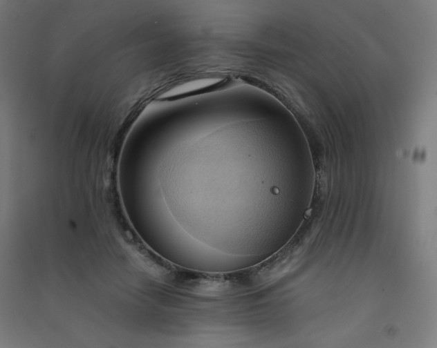 X0000091570458200708201149