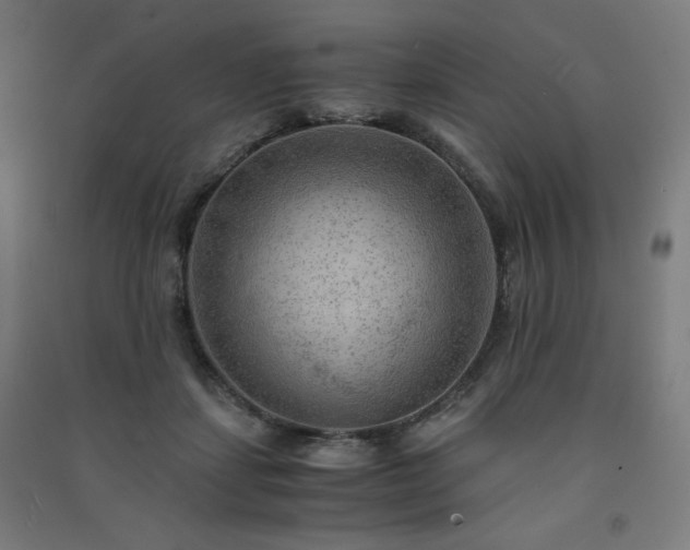 X0000091570459200708201149