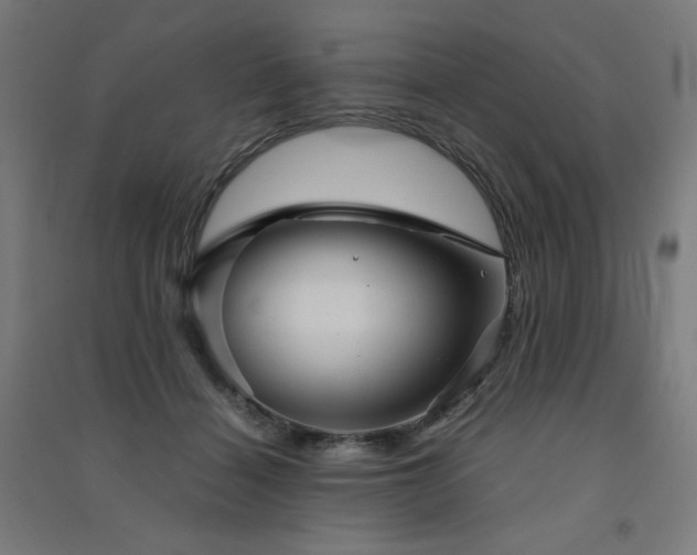 X0000091570460200708201149