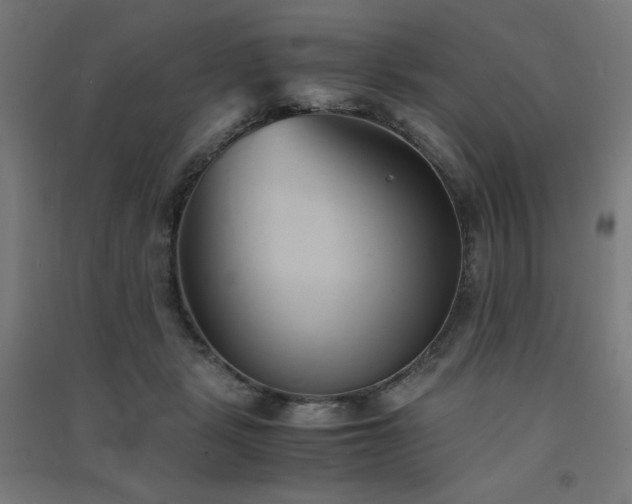X0000091570461200708201149