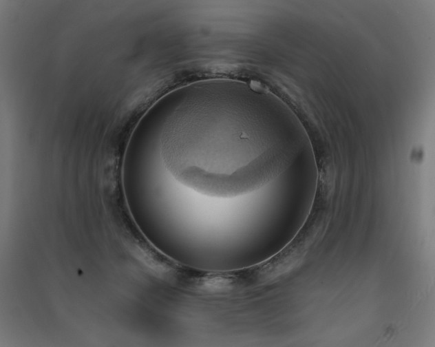 X0000091570462200708201149