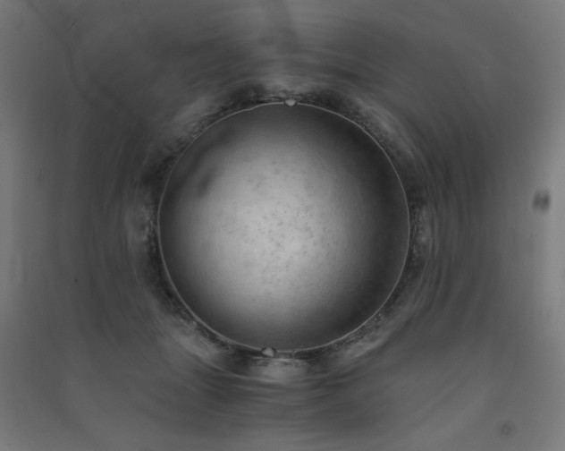X0000091570463200708201149