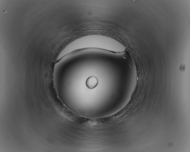 X0000091570464200708201149