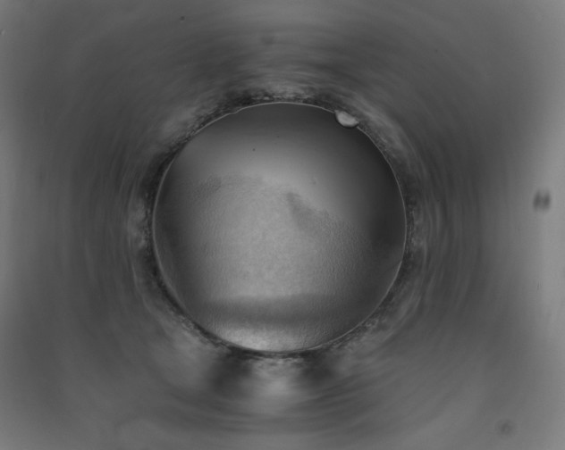 X0000091570465200708201149