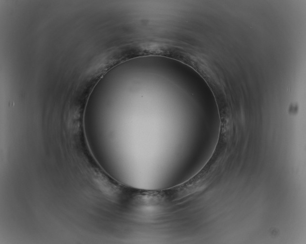 X0000091570466200708201149